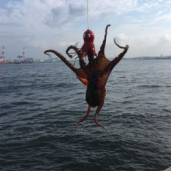 朝イチのタコ好調♪サバは遅めに回遊。。