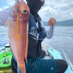 マイボート釣行、友人とアマダイ狙い!