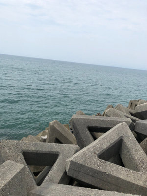 チョイの間のキス