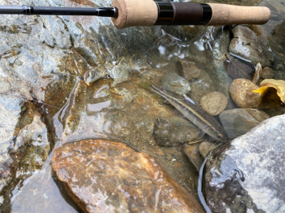 カワムツをスプーンで釣る