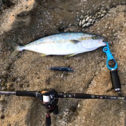 ベイトロッドで『ショア』ジギング