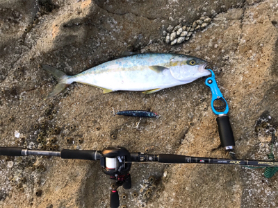 ベイトロッドで『ショア』ジギング