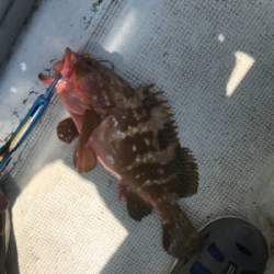 ヒトツテンヤ＆マイクロジギング