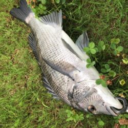 ポイントは大事！