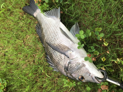 ポイントは大事！