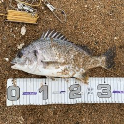 梅雨明け一発目！