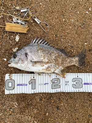 梅雨明け一発目！