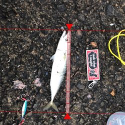 条件は整いました…。