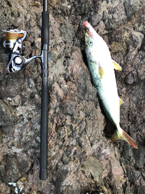 灼熱　青物修行