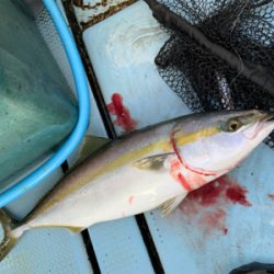 明石沖ジギング