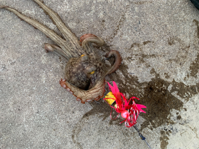 キスを狙うつもりが、、