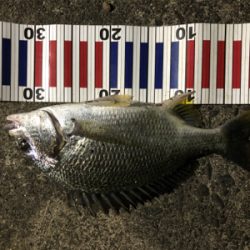 水温たかすぎ！