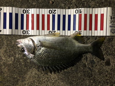 水温たかすぎ！