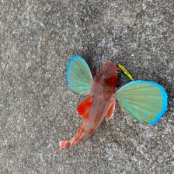 ショアジギで三目達成