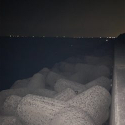 今年初タチウオ