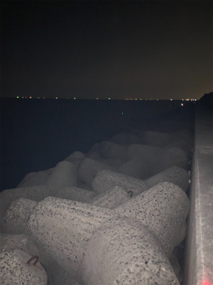 今年初タチウオ