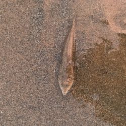 連休初日から混んでます