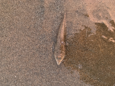 連休初日から混んでます