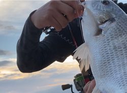 チニング  チビ連発