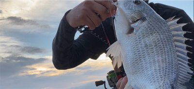 チニング  チビ連発