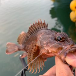 マイクロ岸ジギ