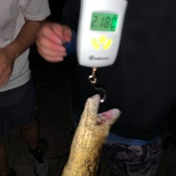 初めての島で釣り