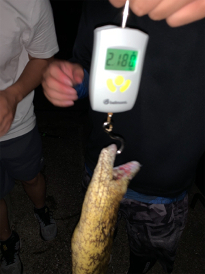 初めての島で釣り