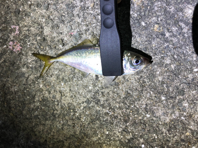 超ーー久々の投稿！