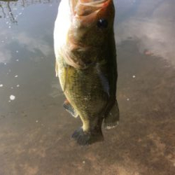 サイトと巻物で