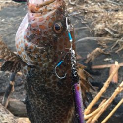 やっとお父さん