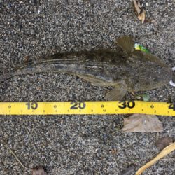 灼熱サーフ河口ランガン