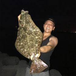 夕マヅメの小座布団ヒラメドーン