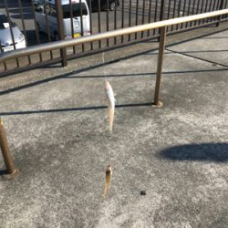 リベンジキス初日‼️