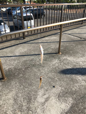 リベンジキス初日‼️