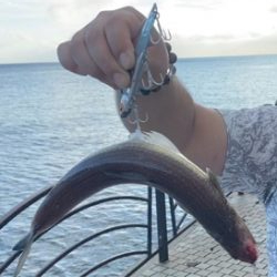 今年初フィッシングがまさかの・・・