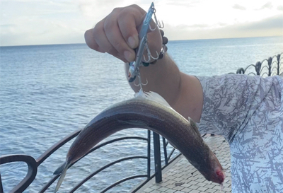 今年初フィッシングがまさかの・・・