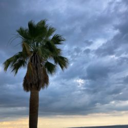 短時間マゴチゲーム