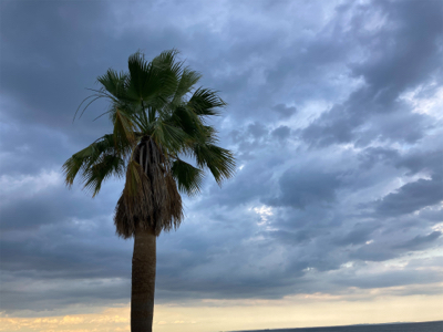 短時間マゴチゲーム