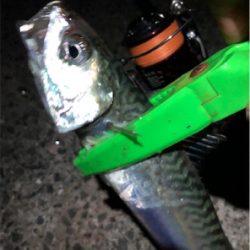 まぢ暑いモーニング