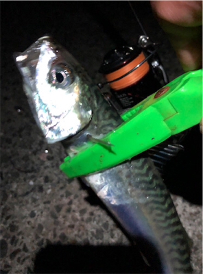 まぢ暑いモーニング