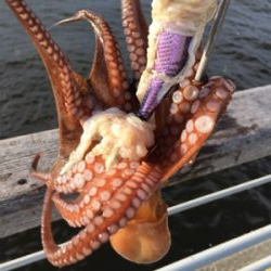 豚バラはどう？