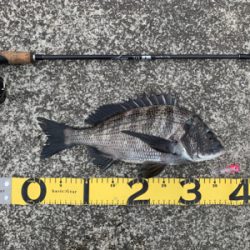 トップチニング