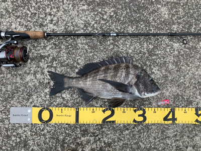 トップチニング