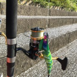 大型がいない・・・