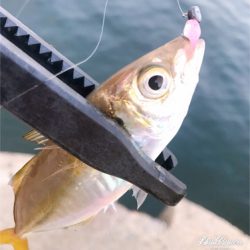 デイアジング再び