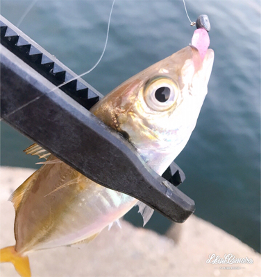 デイアジング再び