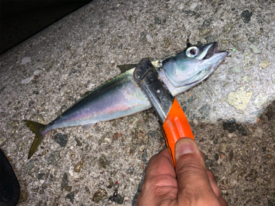 ガッシー&サバー ②