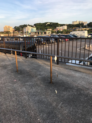 キス釣り2日目❗️