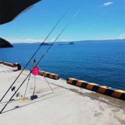 加治木港でエレベーター