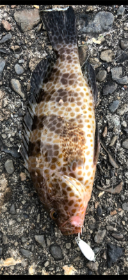 里帰りついでに